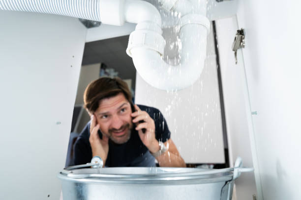 Best Affordable Plumber Near Me  in Sauk Vlage, IL