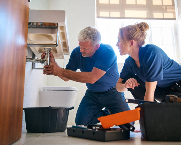 Best Commercial Plumbing Services  in Sauk Vlage, IL