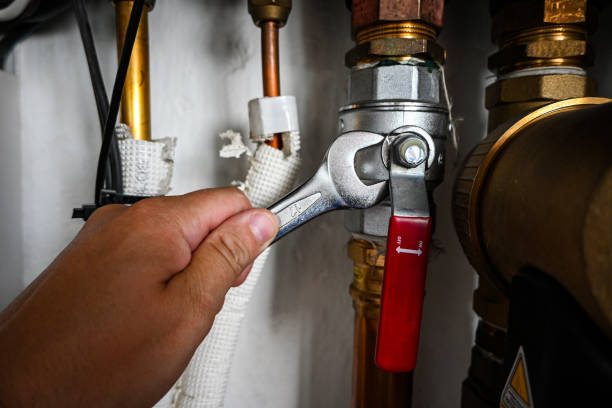 Best Best Plumbers Near Me  in Sauk Vlage, IL